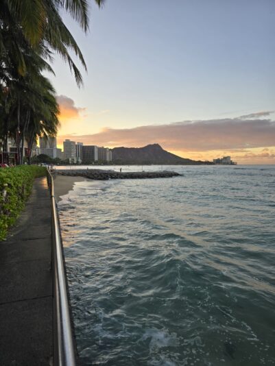 ee2d1693-3e46-4a71-9537-16900db72761