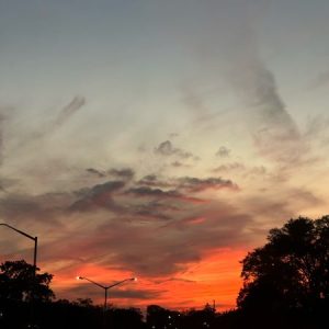 Profile photo of Kayla Poon