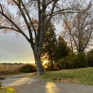 Profile photo of Catalin Badea