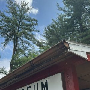 Profile photo of Sergey Anisimov