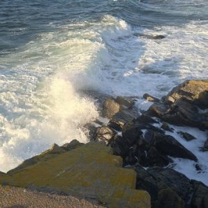 Profile photo of Anders Blom