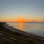 Profile photo of serenelee