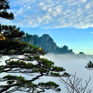 Profile photo of Karence Chan