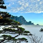 Profile photo of Karence Chan