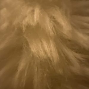 Profile photo of Zana Gant