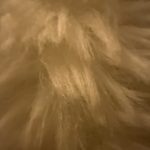 Profile photo of Zana Gant