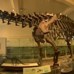 Profile photo of mariaelena