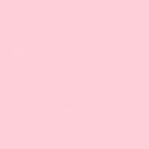 Profile photo of Virsaviya Valiullova