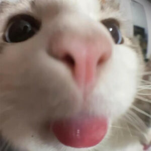 Profile photo of Doreen Chen