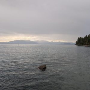 Profile photo of graceosaurus1