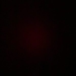 Profile photo of Daniel Lieben