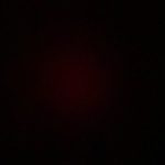 Profile photo of Daniel Lieben