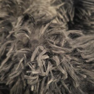 Profile photo of Renee Whitmore