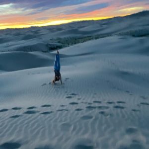 Profile photo of Annie Grover