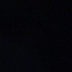 Profile photo of Josie Dong