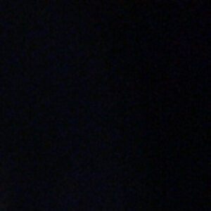 Profile photo of Josie Dong